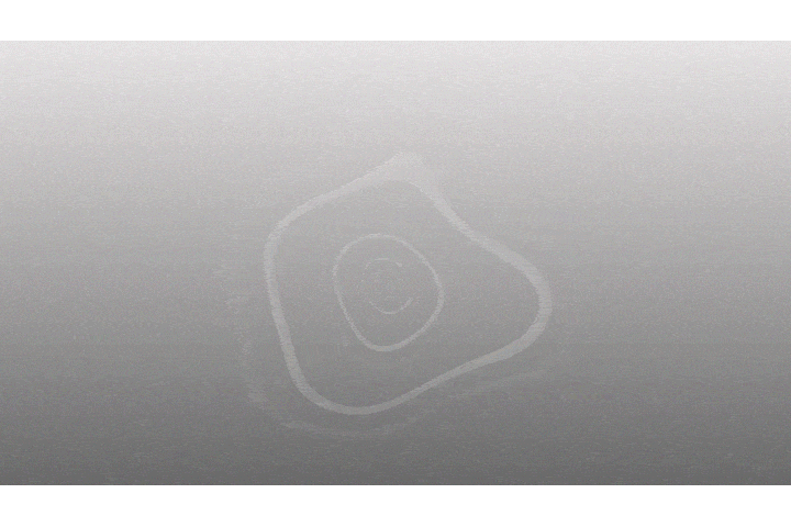 Motion graphic animation of the username Wolfman appearing into frame. There is a grey gradient swirling circle background that changes to purple for ~1 sec. as the letters grow and scatter before rearranging themselves into order, the color reverting to g